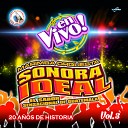 Marimba Orquesta Sonora Ideal - Despacito En Vivo