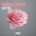 HammAli Navai x Shnaps - Цветок SAlANDIR EDIT Radio Version