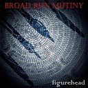 Broad Run Mutiny - Owls Of Night