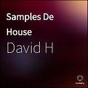 David H - Samples De House