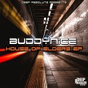 Buddynice - In The Woods Intro Deep Resolute Edition