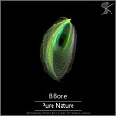 B Bone - Pure Nature Anton Kurt Remix