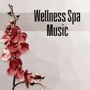 Spa Music Paradise - Aromatherapy Background Music