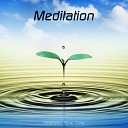 Meditation Music Zone - Drink The Water