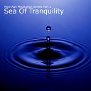 New Age Meditation Series - Sea Of Tranquility Original Mix