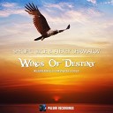 Specific Slice Alexey Shirmalov - Wings Of Destiny Damian Wasse Remix
