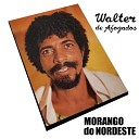 Walter de Afogados - Amor