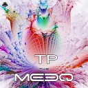 The MeeQ - Shamanic Press Original Mix