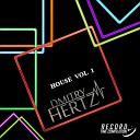 Dmitry Hertz - Only Forward Original Mix