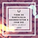 Tigre de SantaJulia SoundSystem Ivan Die - Sepa La Bola Original Mix