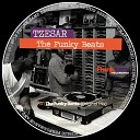 Tzesar - The Funky Beats Original Mix