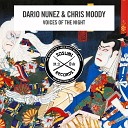 Dario Nunez Chris Moody - Voices of the Night