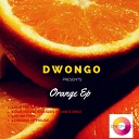 Dwongo Presents - Monk Fish Original Mix