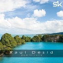 Raul Desid - Dominicana Original Mix