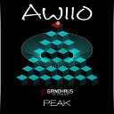 Awiio - Peak Original Mix