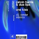 Calvin Harris feat Dua Lipa - One Kiss DJ Amor Remix