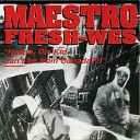 Maestro Fresh Wes - Higher Level