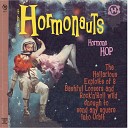 The Hormonauts - Hey You
