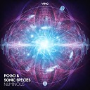 Sonic Species Pogo Zephirus Kane - Numinous Original Mix