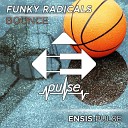 Funky Radicals - Bounce Original Mix