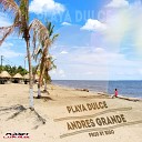Andres Grande feat Mr Jeyko - Playa Dulce Original Mix