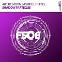Arctic Moon Purple Stories - Shadow Particles Extended Mix