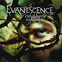 Evanescence - Taking Over Me Live From Le Z nith France…