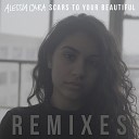 Alessia Cara - Scars To Your Beautiful Luca Schreiner Remix