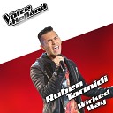Ruben Tarmidi - Wicked Way From The voice of Holland 5