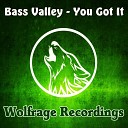 Bass Valley - You Got It Original Mix
