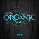 Soulearth - Organic Original Mix