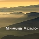 Mindfulness Meditations - Cleansing Negative Energy