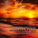Shreds Owl - You Are My Mystery Original Mix