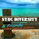Sync Diversity - The End Re N Dub Version