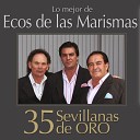 Ecos de las Marismas - La Vieja Medalla Sevillanas Version