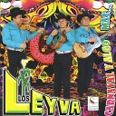 Los Leyva - El Gato Viudo