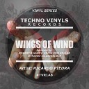 Ricardo Piedra - Wings Of Wind Erich Von Kollar Remix