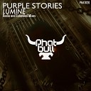 Purple Stories - Lumine Radio Edit