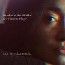 Me and My Invisible Orchestra - Menimen Birge Dumitresku Remix