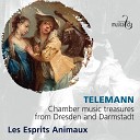 Les Esprits Animaux - Concerto in D Major TWV deest II Aria