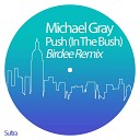 Michael Gray - Push In the Bush Birdee Remix