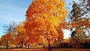 Детские Песни - Осень чудная пора Песни про осень для…