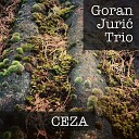 Goran Juri Trio - Mahogany