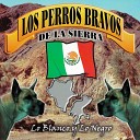 Los Perros Bravos De La Sierra - Noble Enga o
