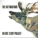 The Ray Martians Tony Brennan feat Damian… - Brambletyne feat Damian Stolp