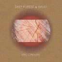 Deep Forest Gaudi - Damo Suzuky s Ballad