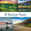 Relaxing Nature Sounds Collection - Journey to the Soul