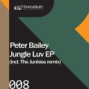 Peter Bailey - Jungle Luv (The Junkies Remix)