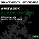 Amitacek - Black Orchid Original Mix