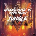 Groove Music DJ feat ACID MUSH - Jungle